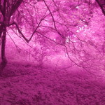 Centralia - FS Stills 062