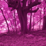 Centralia - FS Stills 064