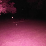 Haldeman Mansion - FS Stills 347