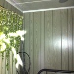 Joan's Camp - GDP 1 005