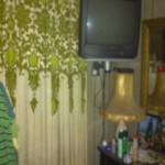 Joan's Camp - GDP 1 008