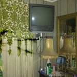 Joan's Camp - GDP 1 012