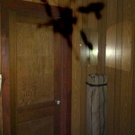 Joan's Camp - GDP 1 013