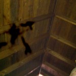 Joan's Camp - GDP 1 015