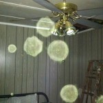 Joan's Camp - GDP 1 017