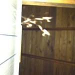 Joan's Camp - GDP 1 022