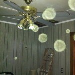 Joan's Camp - GDP 1 024