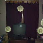 Joan's Camp - GDP 1 047