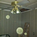 Joan's Camp - GDP 1 050