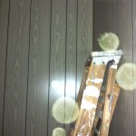 Joan's Camp - GDP 1 061