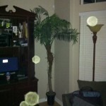 Mara's House - GDP 011